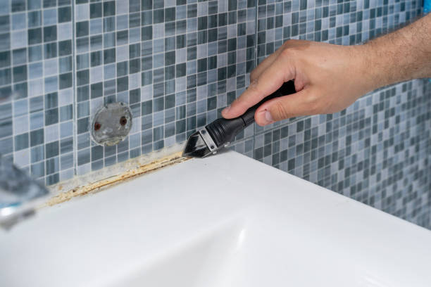 Best Insurance-Related Mold Remediation in Little Walnut Village, NM
